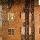 The rain outside my window