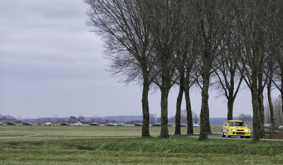 The Rally Landscape