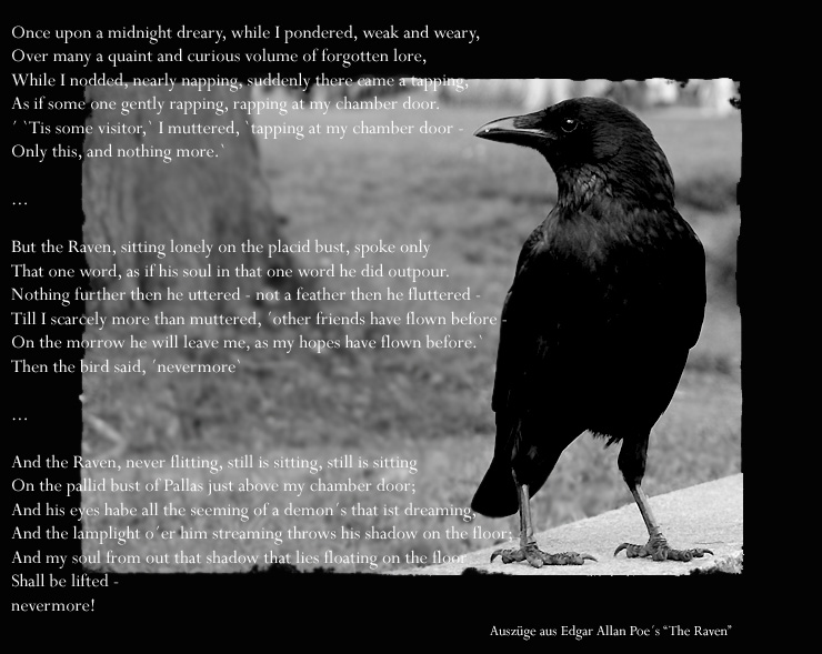 The Raven