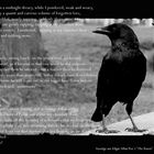 The Raven