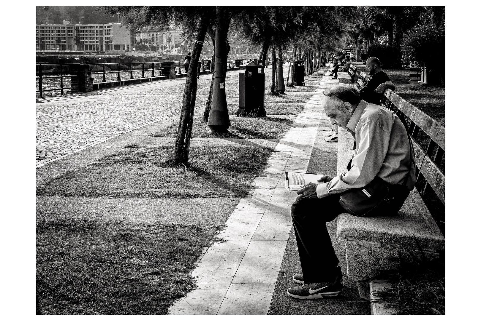 The reader 