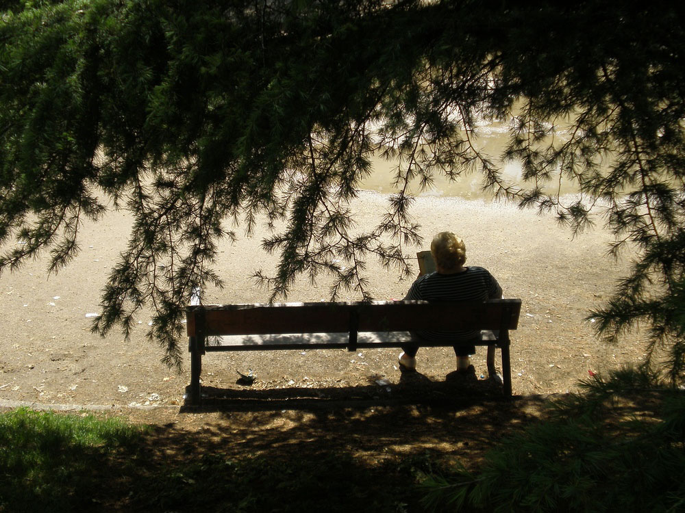 The reader