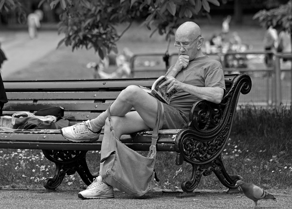 The Reading Gentleman