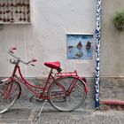 The red bicycle