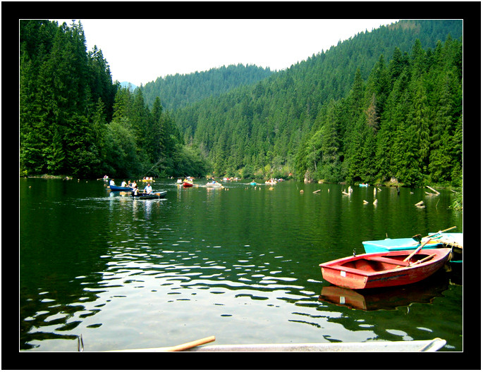 the red boat