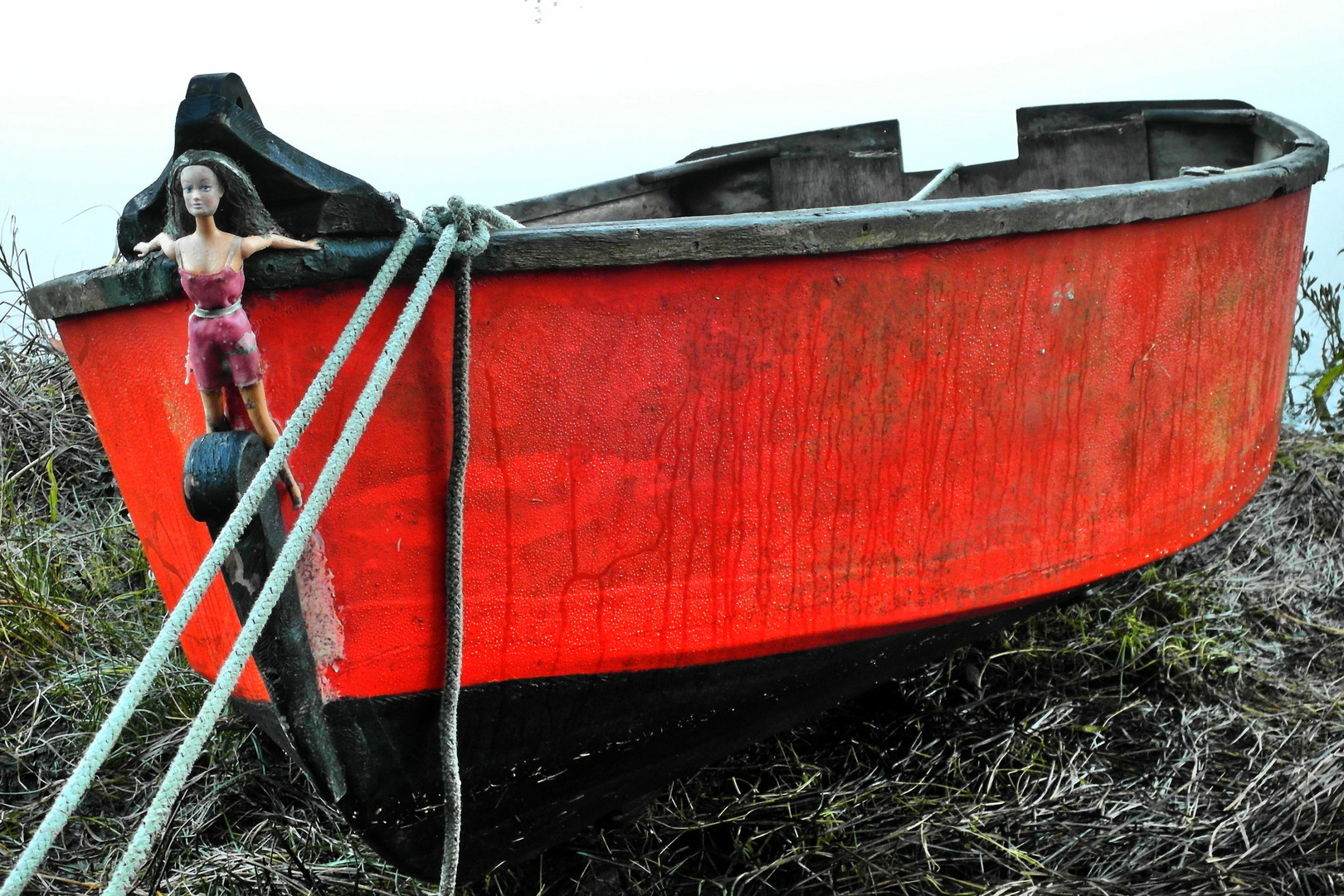 THE RED BOAT