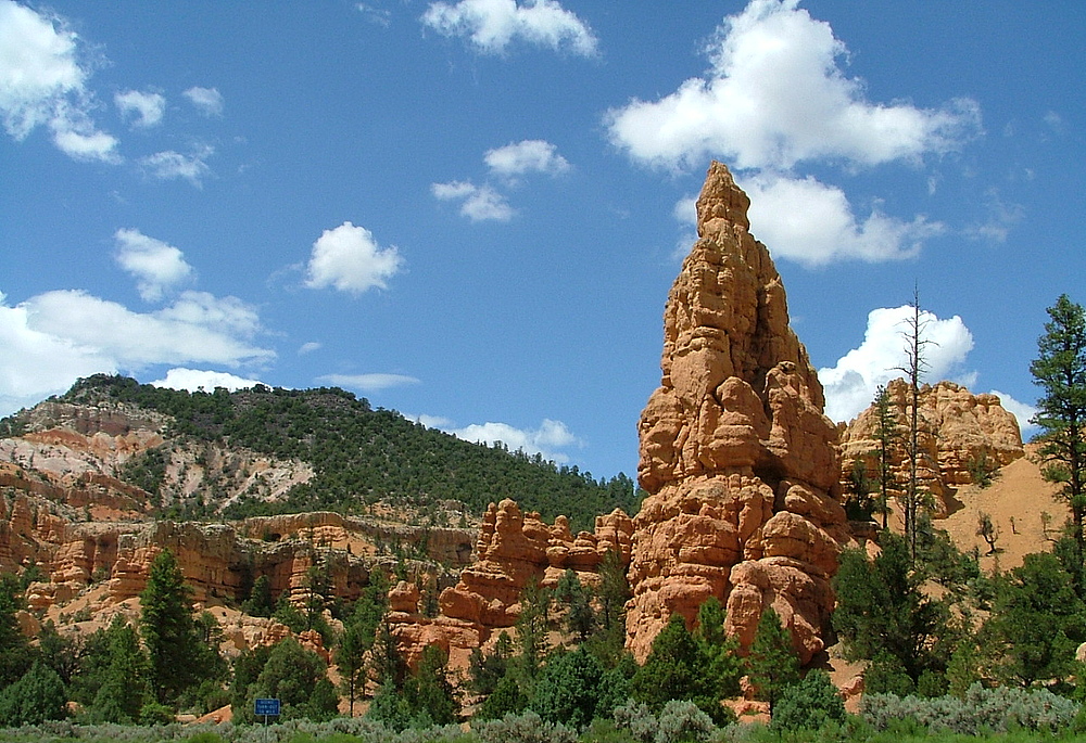 The Red Canyon