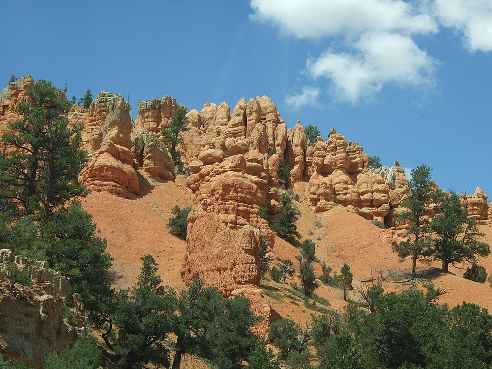 The Red Canyon III