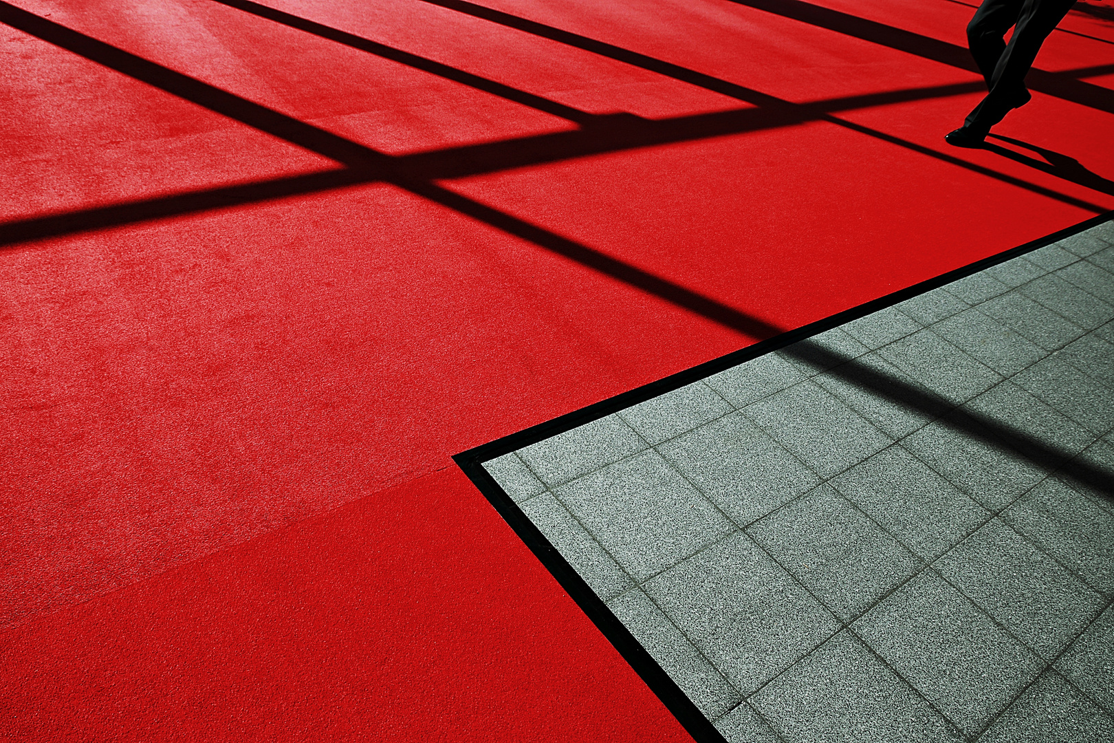 The red carpet