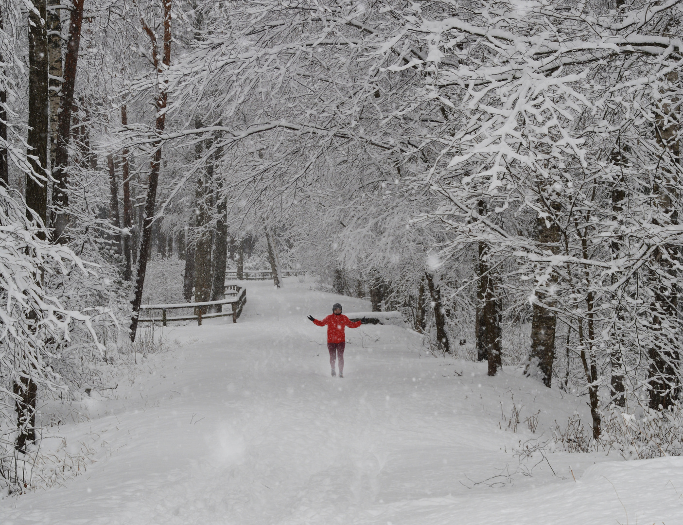 The red coat woman on wintry park