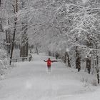 The red coat woman on wintry park