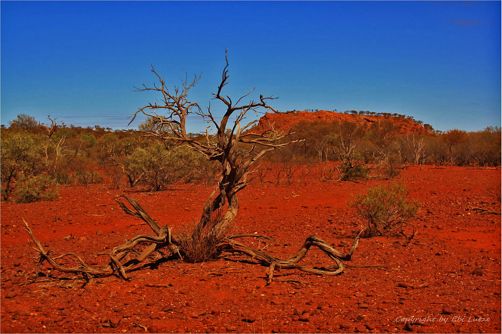 * the Red Earth of the Pilbara *