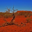 * the Red Earth of the Pilbara *