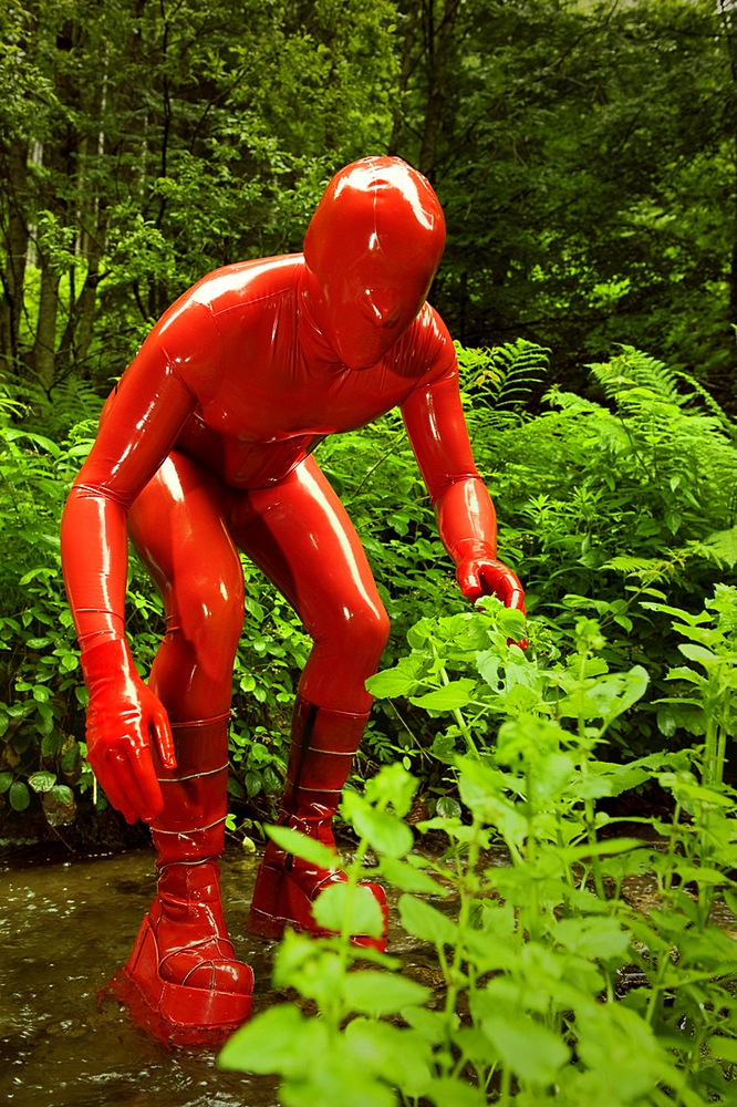 the red frog project