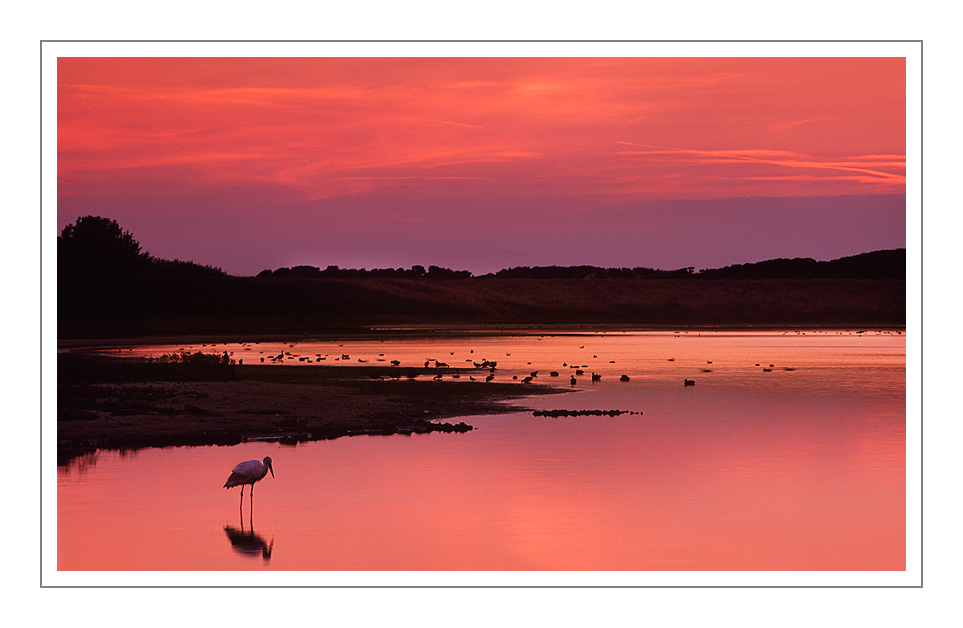 The Red Lagoon