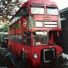 The Red Old Bus