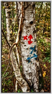 The Red Or The Blue Pill ... which One Do You Choose?
