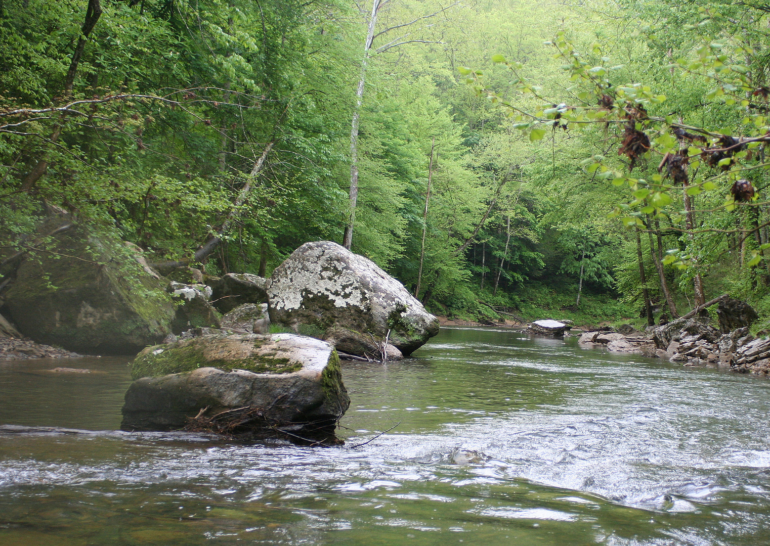 the red river