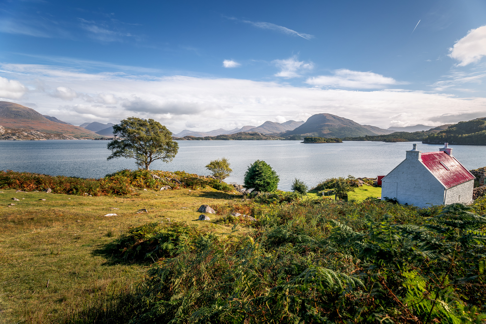 the red roof