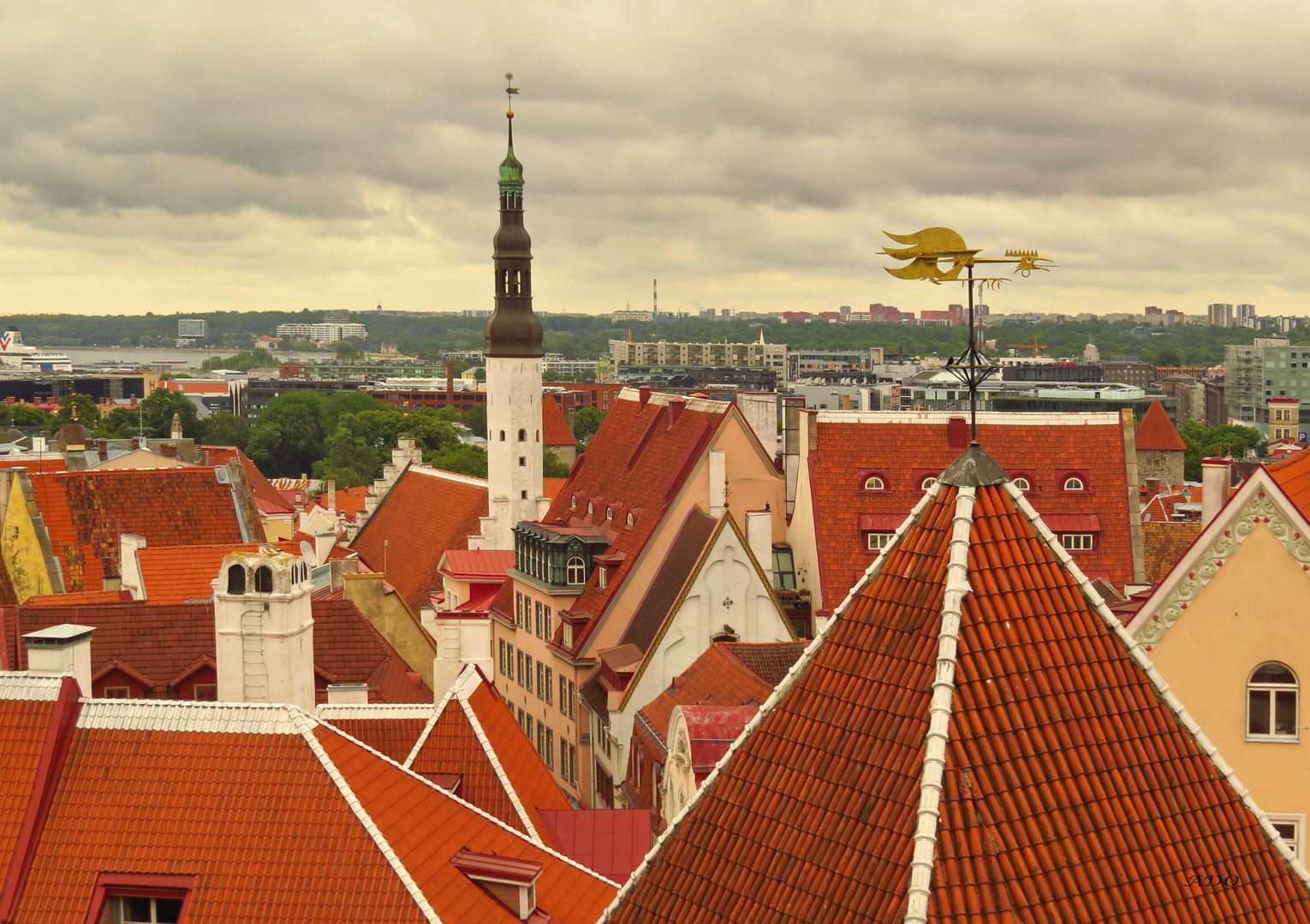 The Red Roofs of Tallinn