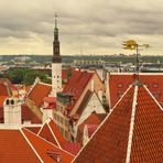 The Red Roofs of Tallinn