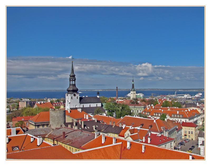 The Red Rooftops of Tallinn