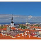 The Red Rooftops of Tallinn