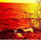 The red sea