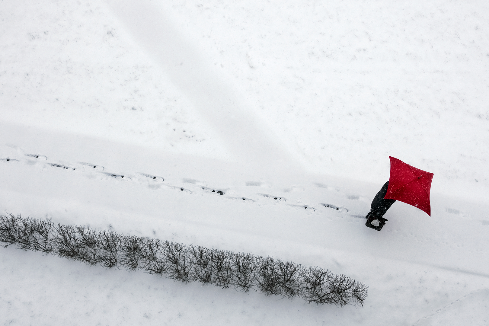 The red umbrella