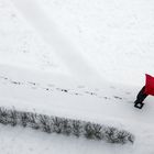 The red umbrella