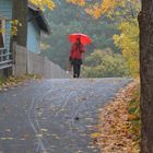 The red umbrella