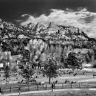 The resting bissons (Infrared study 3)
