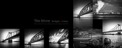 The Rhine . Bridges & Views