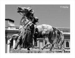 The rider and his horse