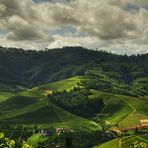 The Riesling circus