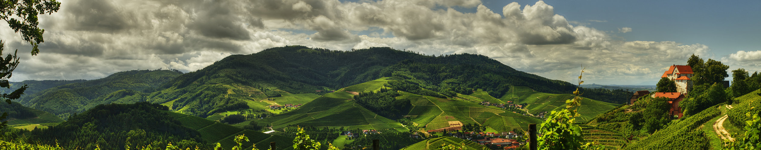 The Riesling circus