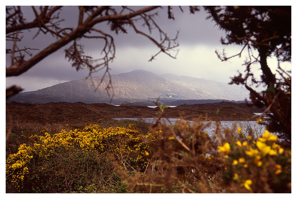 The Ring of Kerry