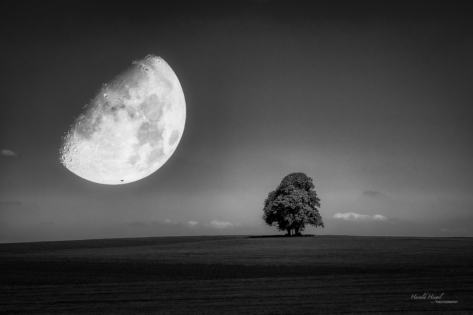 The Rising Moon b&w