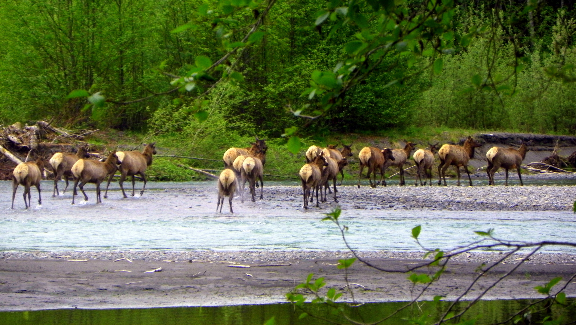 the River Crossing