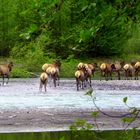 the River Crossing