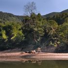 The river cruise on the Nam Ou river