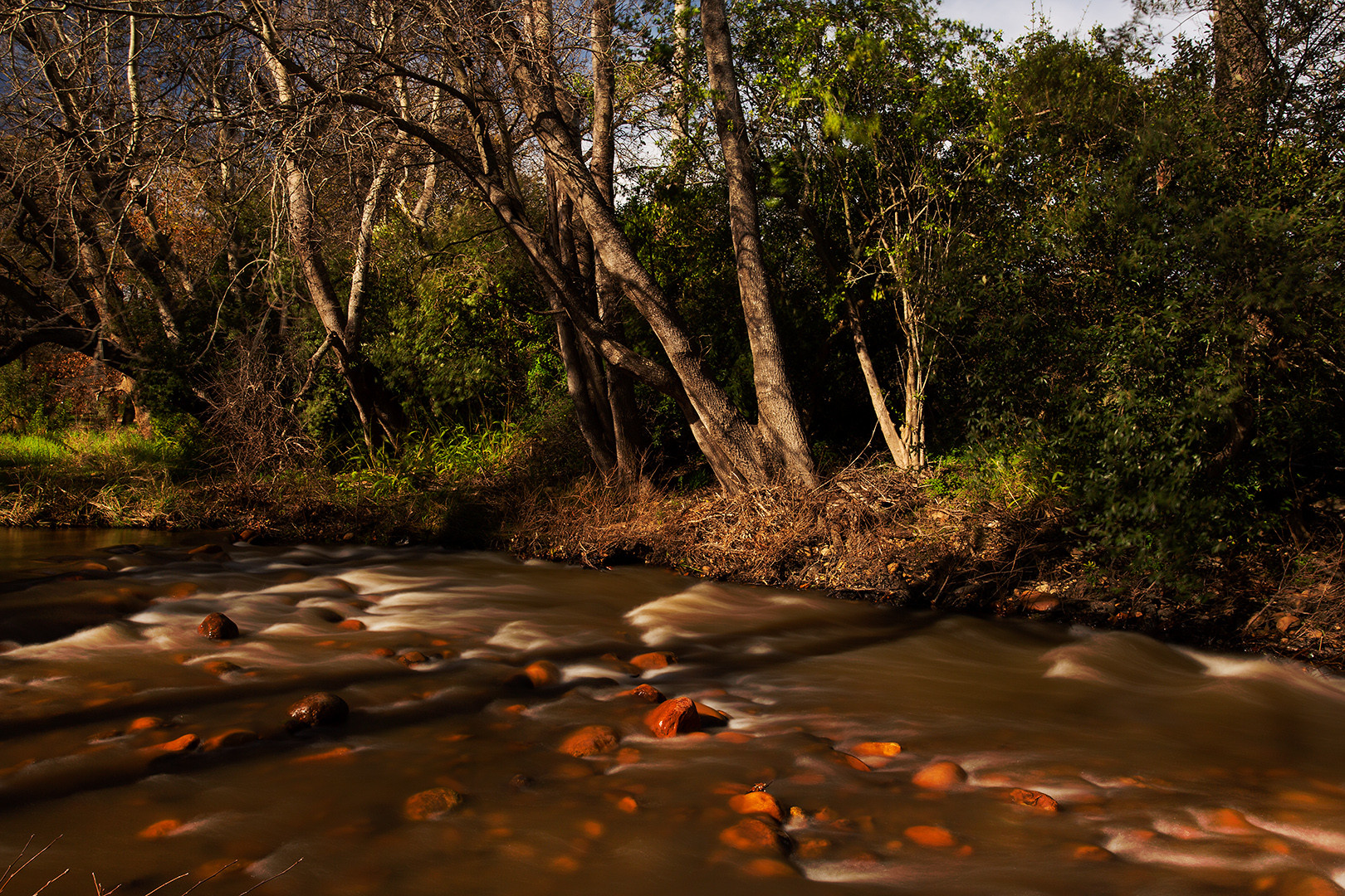 the river ~ der Fluss