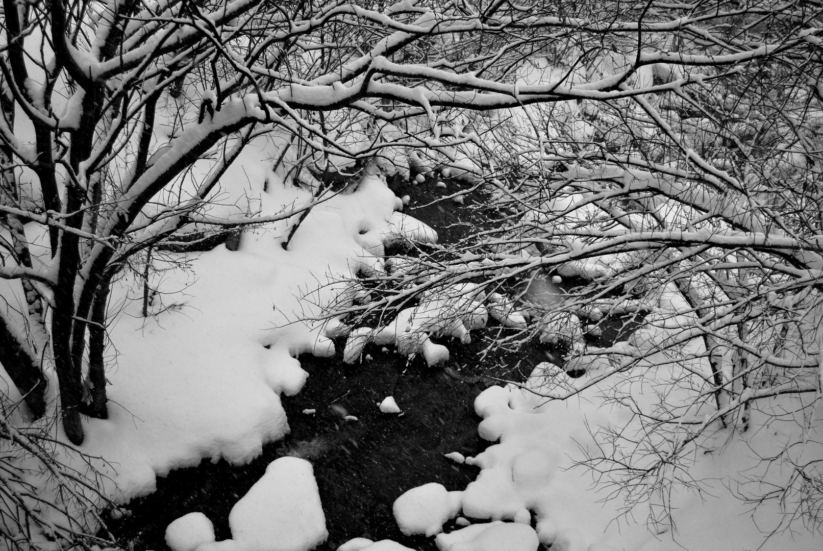 The river in b/w