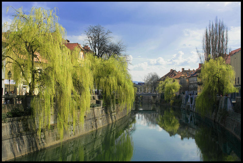 The River in town Ljubljana