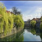 The River in town Ljubljana