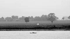 The River Rhine