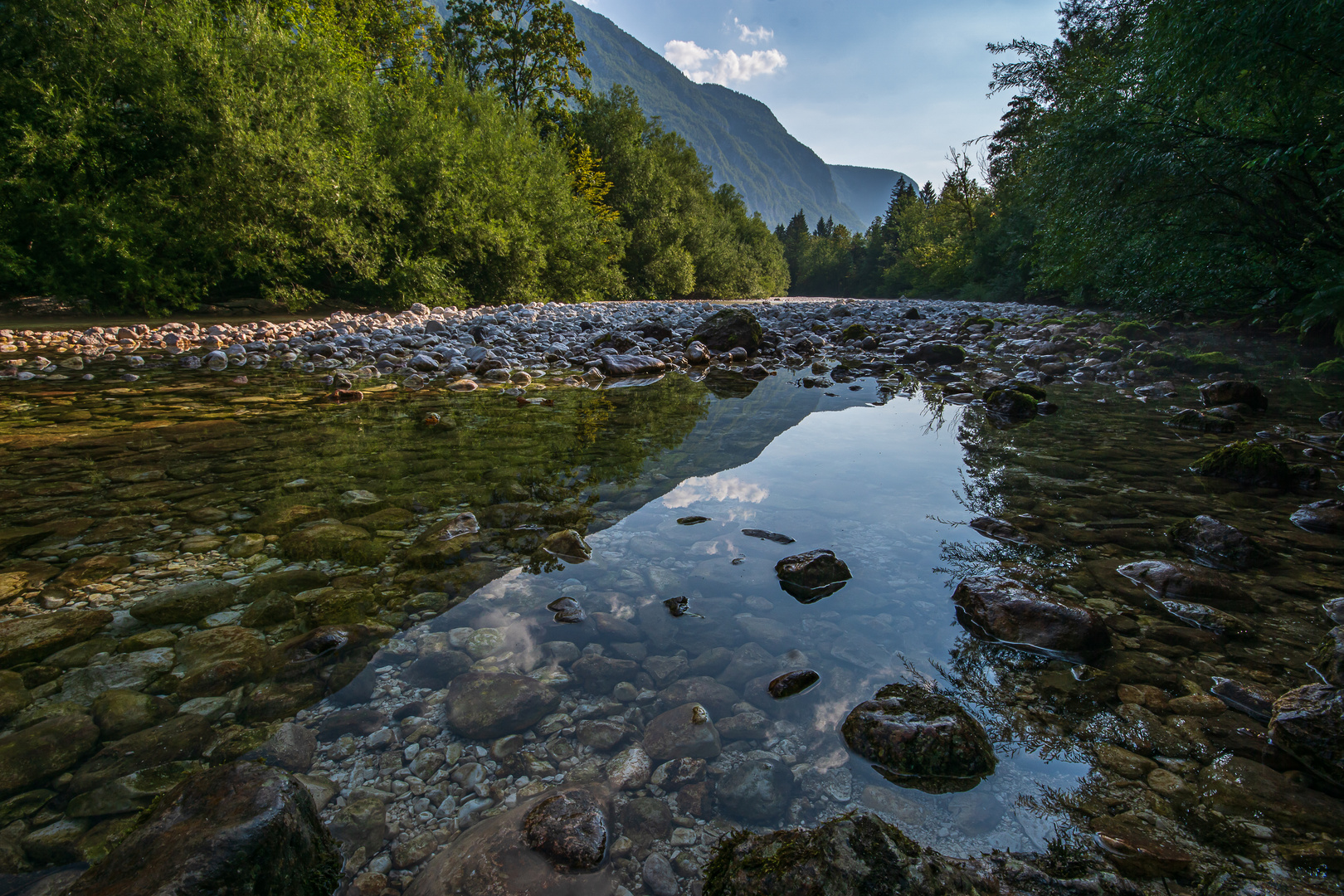 The river Sava is still young.