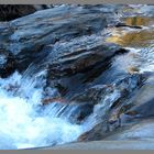 the river Tarn