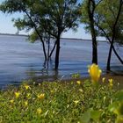 The River Uruguay / South America