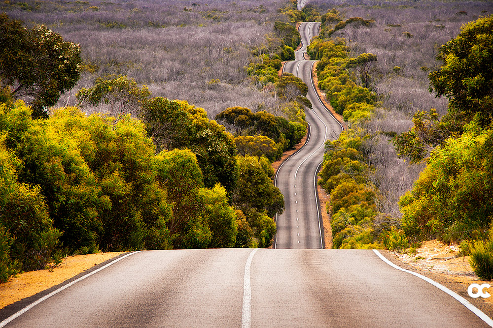 The Road